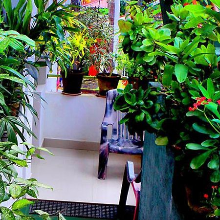 Safari Horizon Udawalawe Bed & Breakfast Luaran gambar