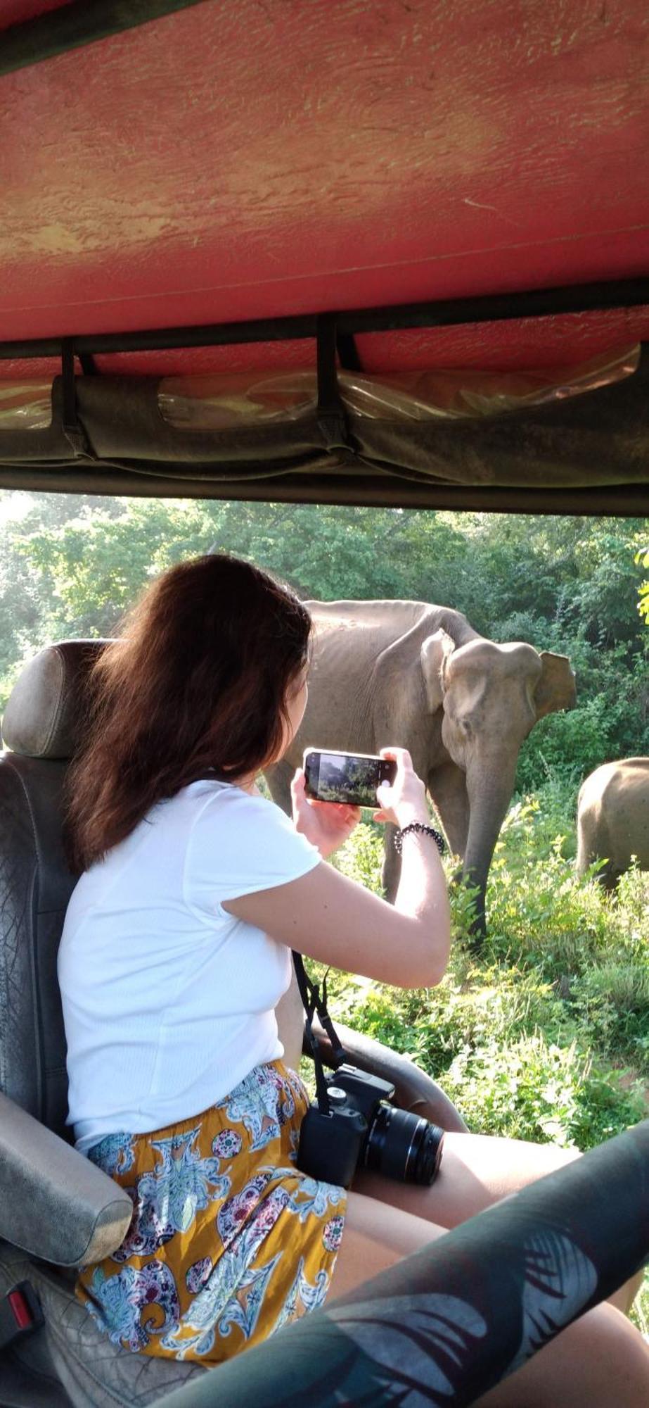 Safari Horizon Udawalawe Bed & Breakfast Luaran gambar