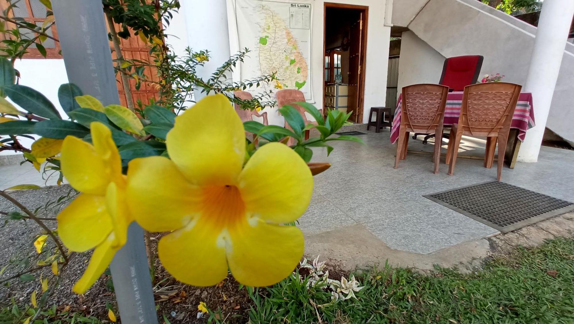 Safari Horizon Udawalawe Bed & Breakfast Luaran gambar