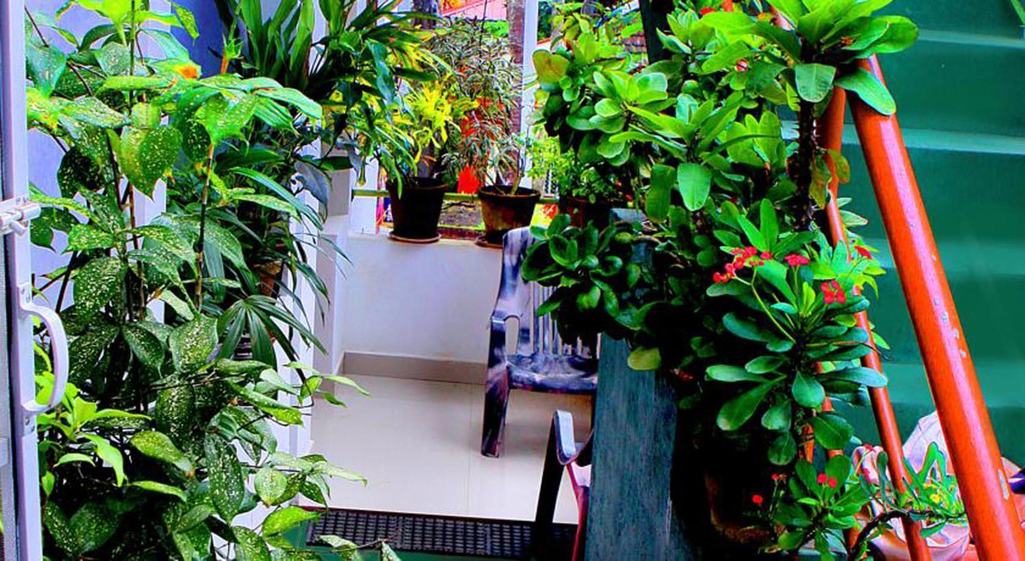 Safari Horizon Udawalawe Bed & Breakfast Luaran gambar